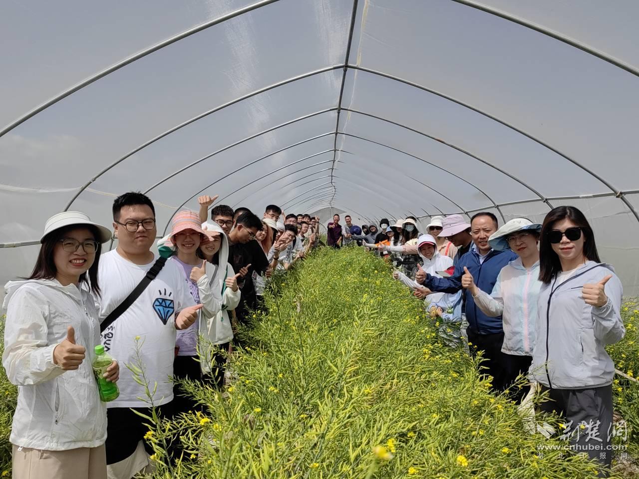 師生參觀民樂(lè)中苔種業(yè)有限公司制種基地（通訊員 郭亮攝）.png