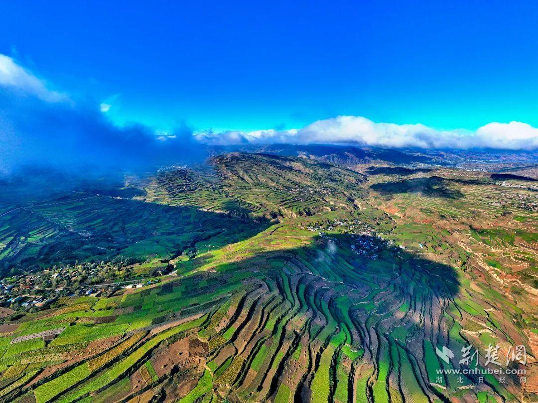 1-勁牌在甘肅岷縣建立的黃芪、黨參種植基地.jpg.jpg