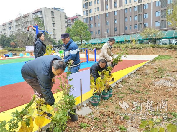 工會(huì)小組成員將綠植擺放整齊。.jpg.jpg